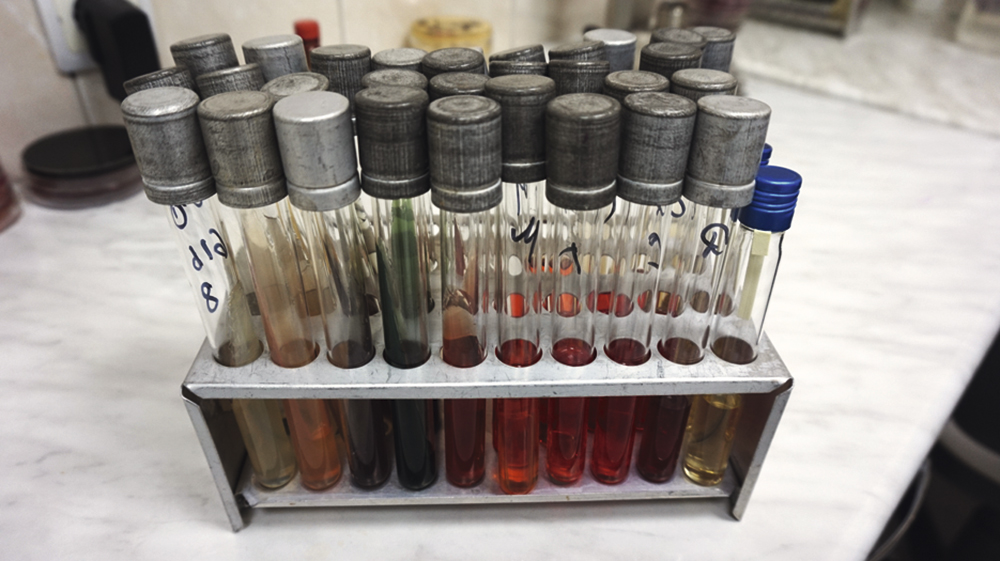 ПЕСЧАНСКИЙ  АЛЕКСАНДР