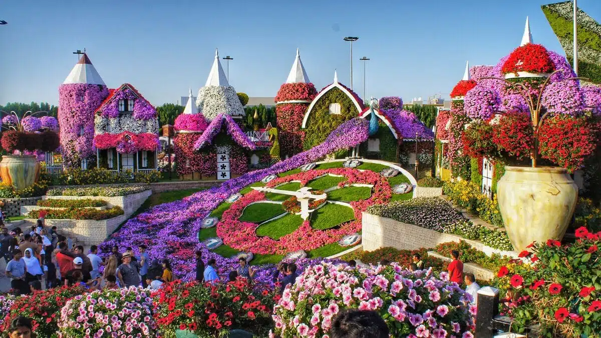 dubai-miracle-garden
