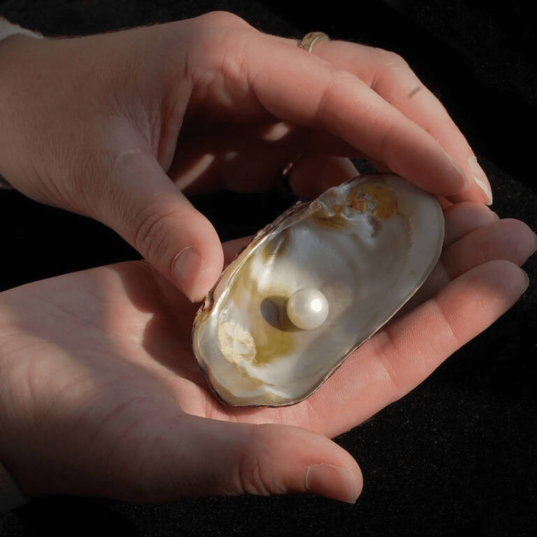 b8162b03cc14fe742dfd7b6919c85431-1