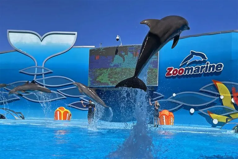 zoomarine-algarve-portugal-768x512_jpg