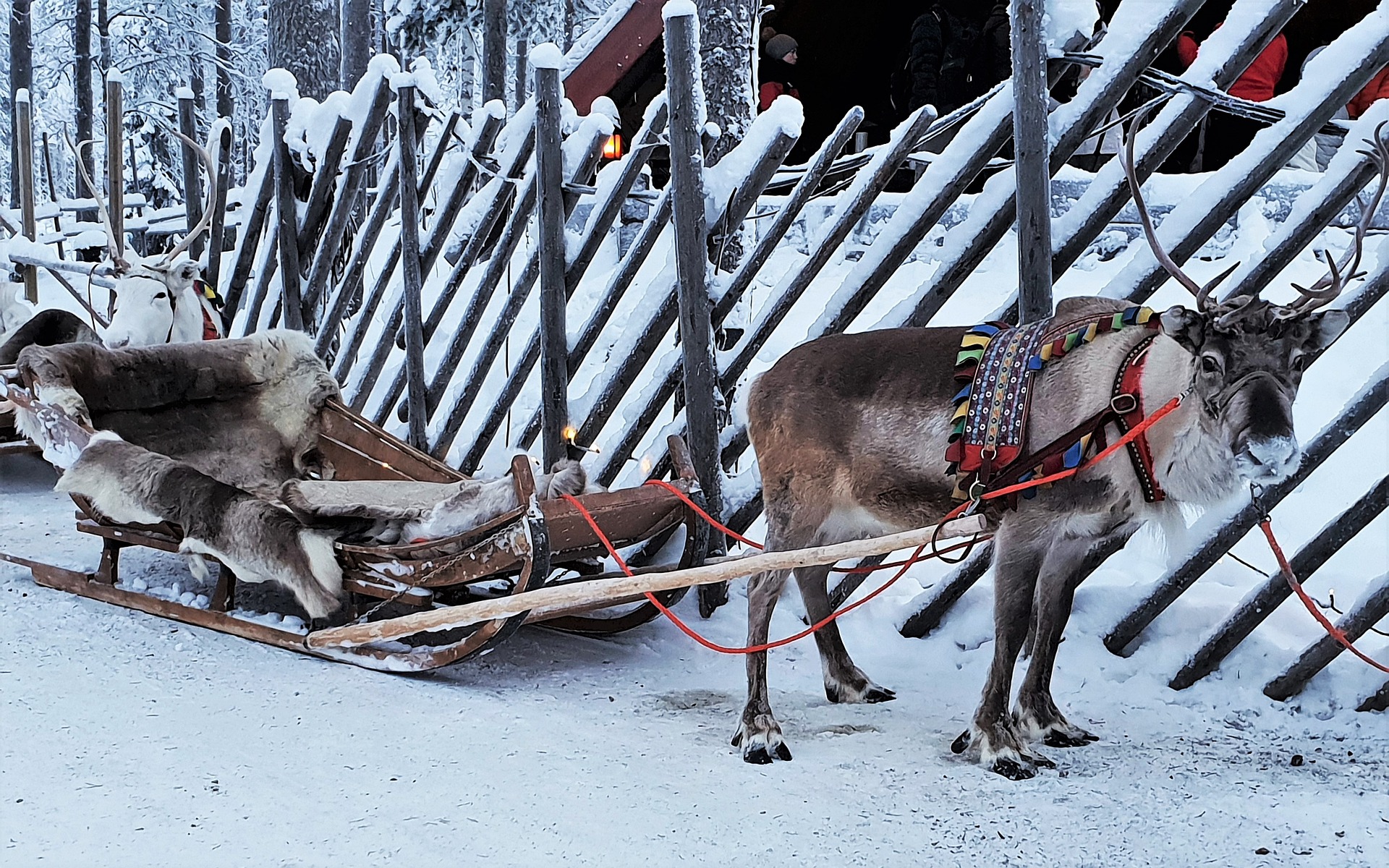 lapland-4688371_1920